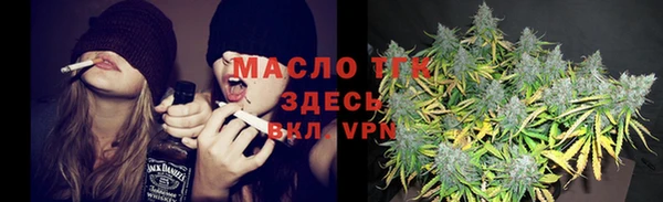 стафф Каменка