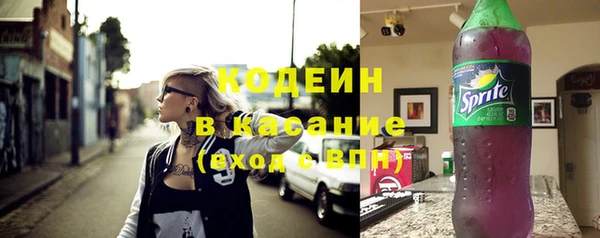 стафф Каменка