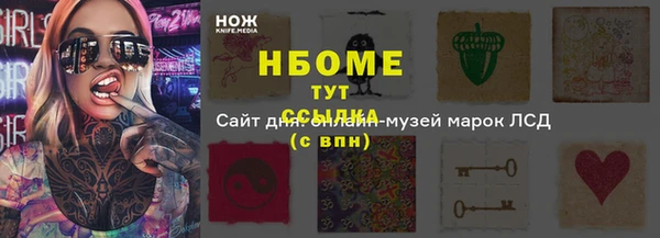 стафф Каменка