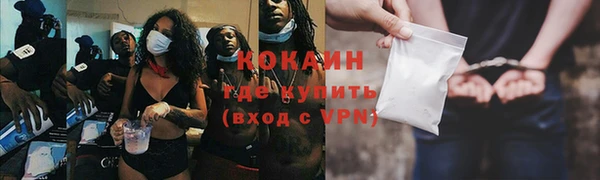 твердый Каменногорск