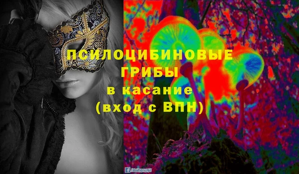 соль ск Карталы
