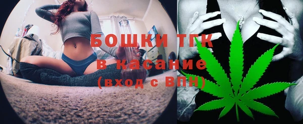 твердый Каменногорск